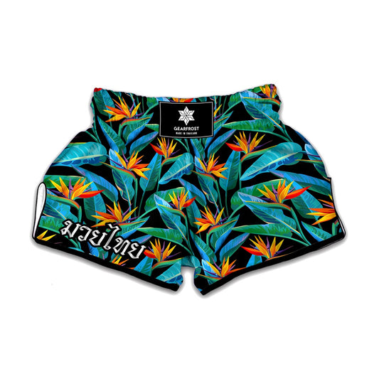 Teal Tropical Pattern Print Muay Thai Boxing Shorts