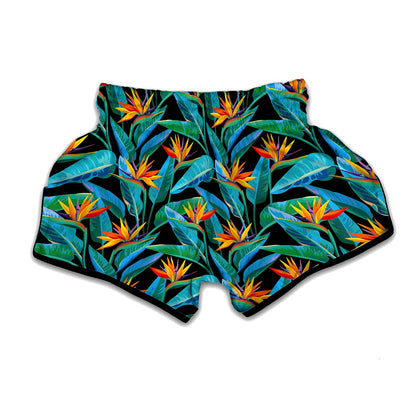 Teal Tropical Pattern Print Muay Thai Boxing Shorts