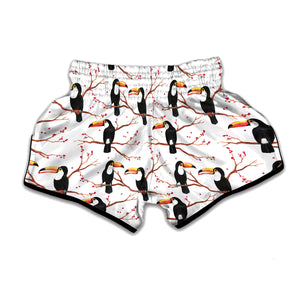 Toco Toucan Pattern Print Muay Thai Boxing Shorts