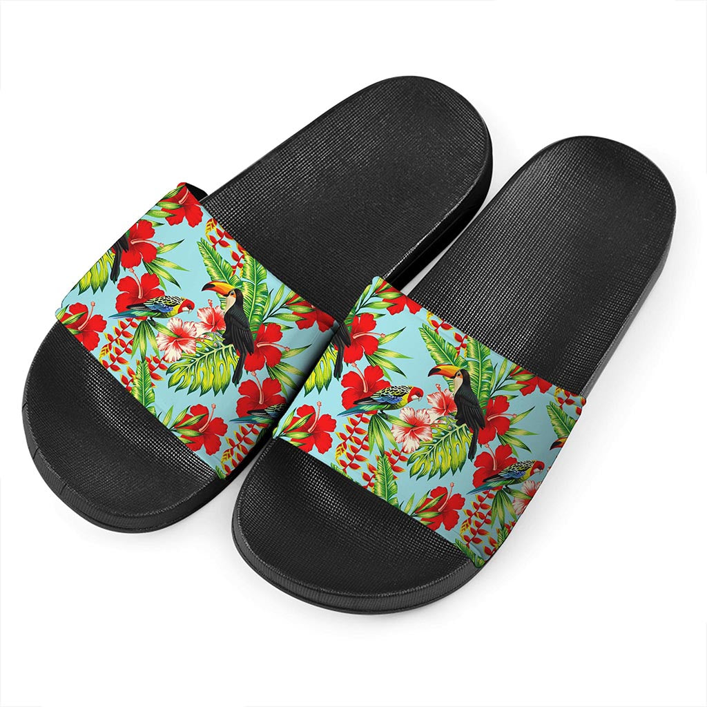 Toucan Parrot Tropical Pattern Print Black Slide Sandals