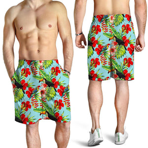 Toucan Parrot Tropical Pattern Print Men's Shorts