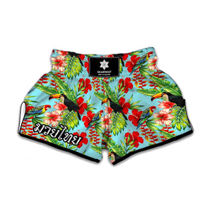 Toucan Parrot Tropical Pattern Print Muay Thai Boxing Shorts