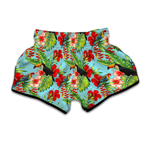 Toucan Parrot Tropical Pattern Print Muay Thai Boxing Shorts