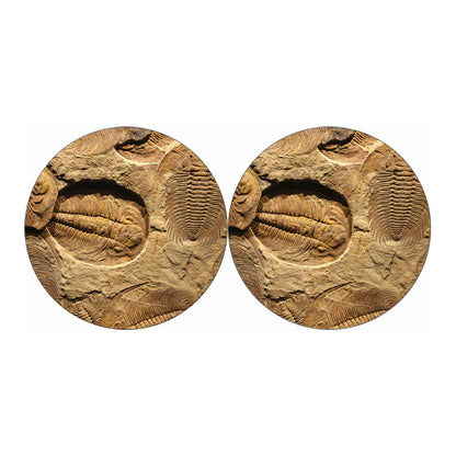 Trilobite Fossil Print Car Coasters