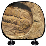 Trilobite Fossil Print Car Headrest Covers