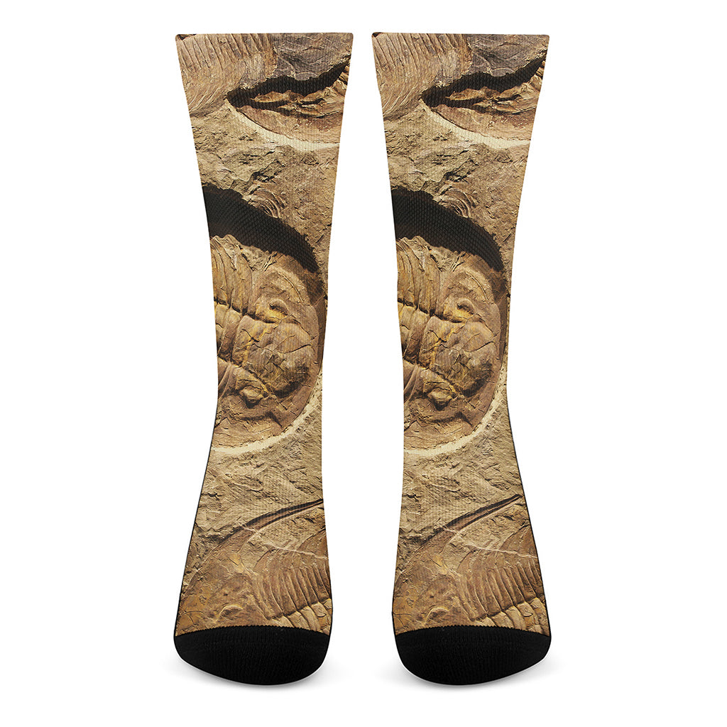 Trilobite Fossil Print Crew Socks