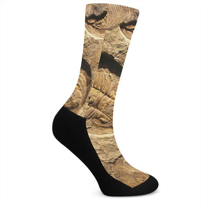 Trilobite Fossil Print Crew Socks