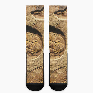 Trilobite Fossil Print Crew Socks