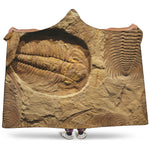 Trilobite Fossil Print Hooded Blanket