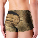 Trilobite Fossil Print Men's Boxer Briefs