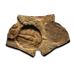 Trilobite Fossil Print Muay Thai Boxing Shorts