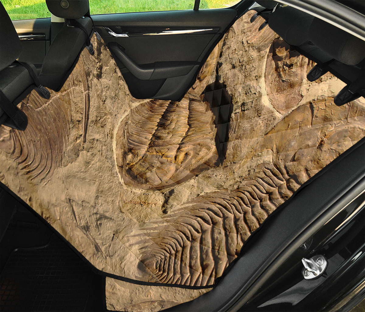 Trilobite Fossil Print Pet Car Back Seat Cover