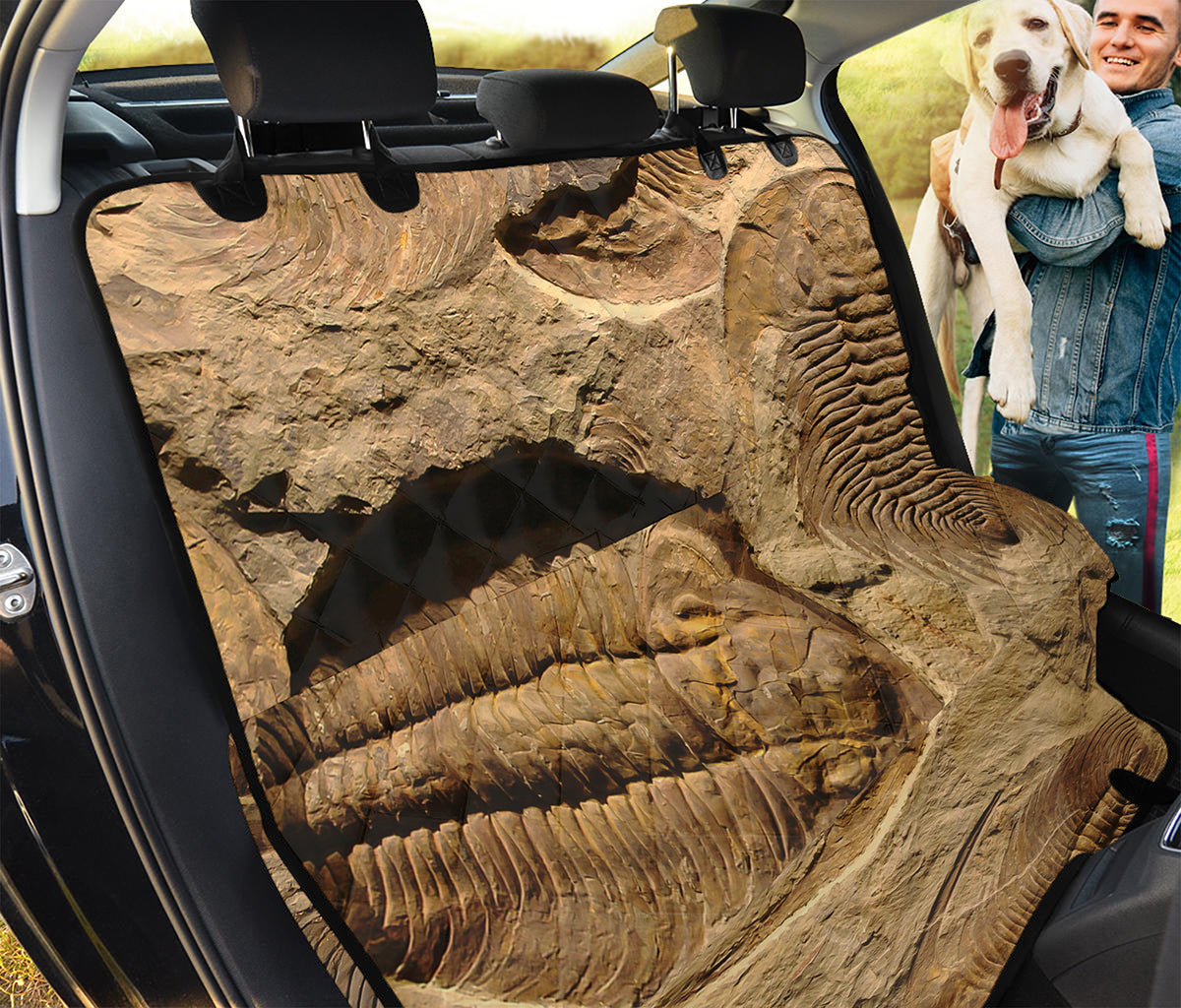 Trilobite Fossil Print Pet Car Back Seat Cover