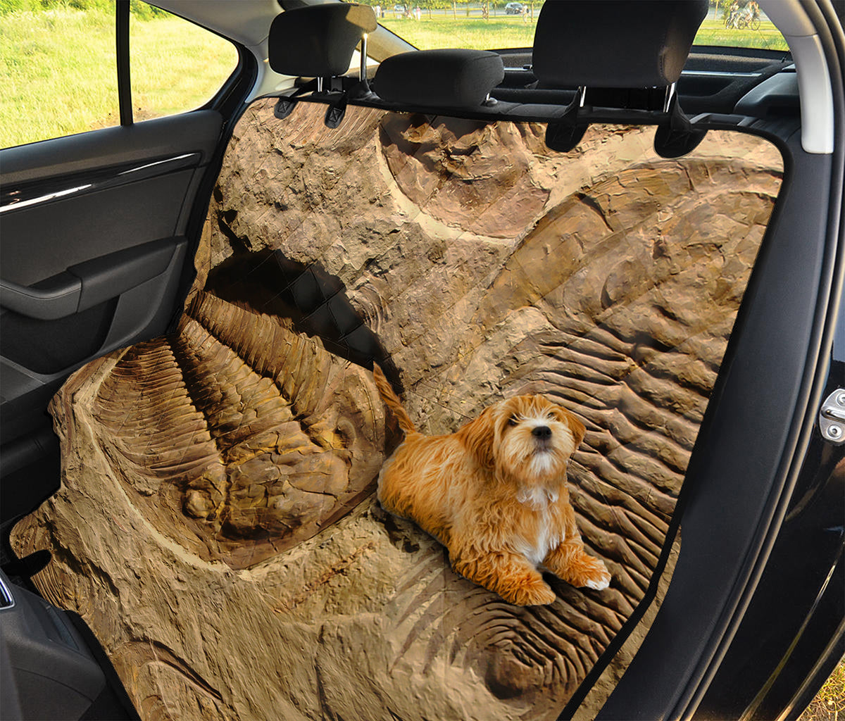 Trilobite Fossil Print Pet Car Back Seat Cover