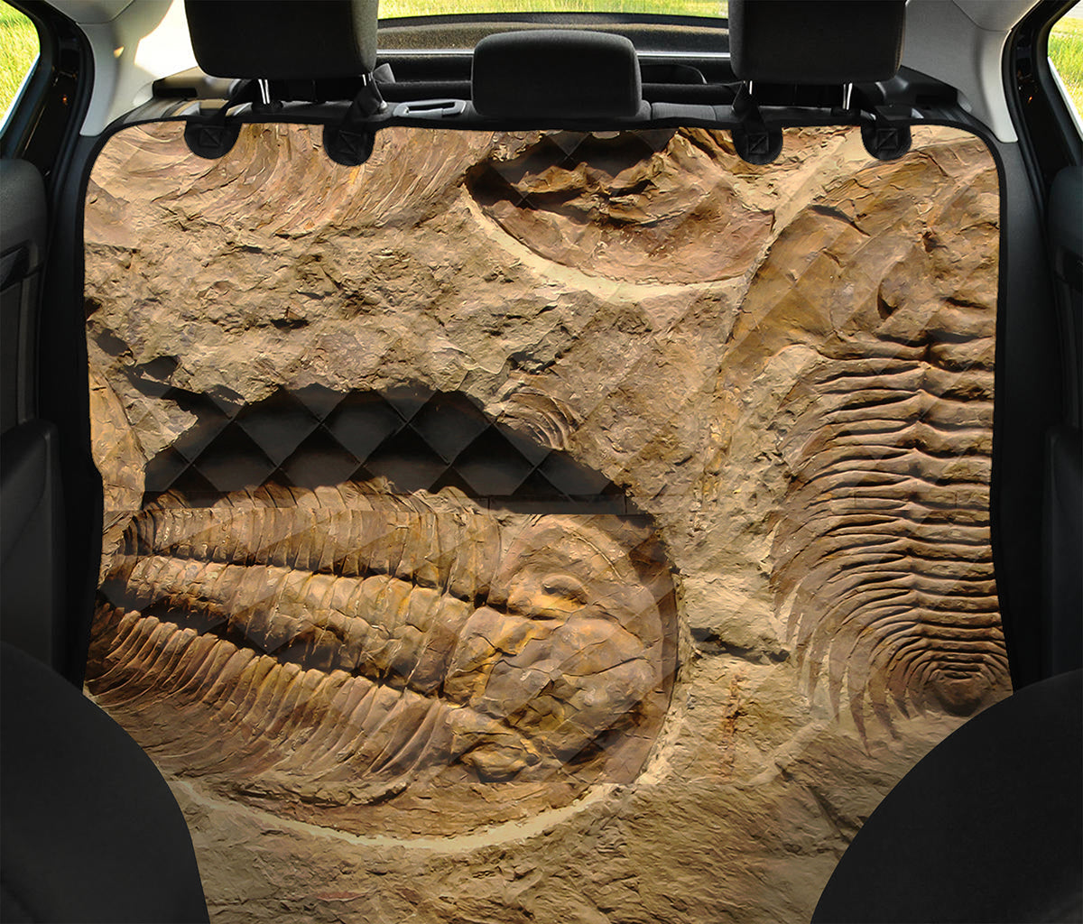 Trilobite Fossil Print Pet Car Back Seat Cover