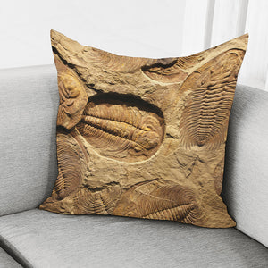 Trilobite Fossil Print Pillow Cover