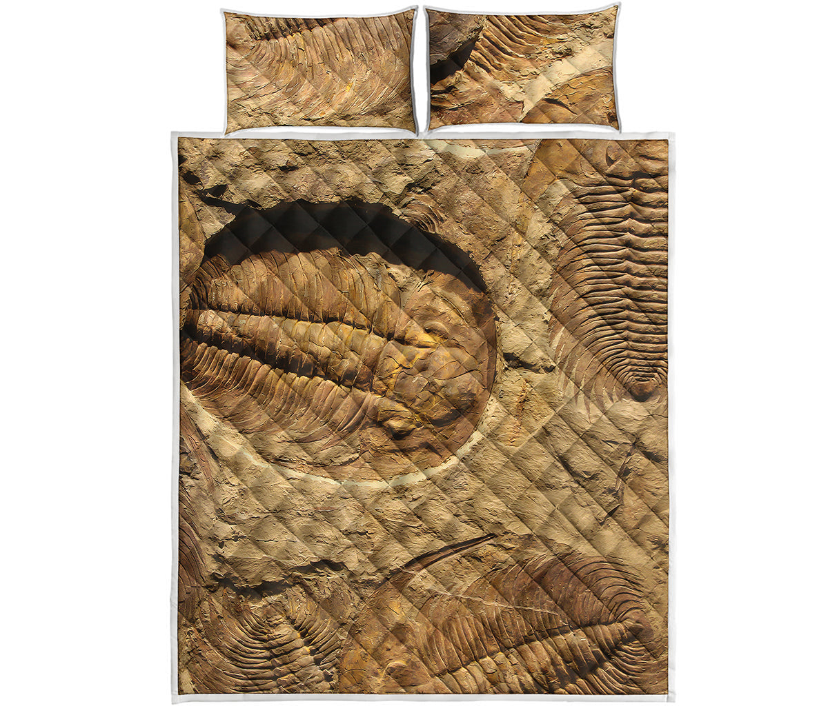 Trilobite Fossil Print Quilt Bed Set