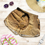 Trilobite Fossil Print Women's Shorts