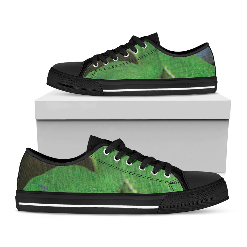 Trimeresurus Albolabris Snake Print Black Low Top Shoes 