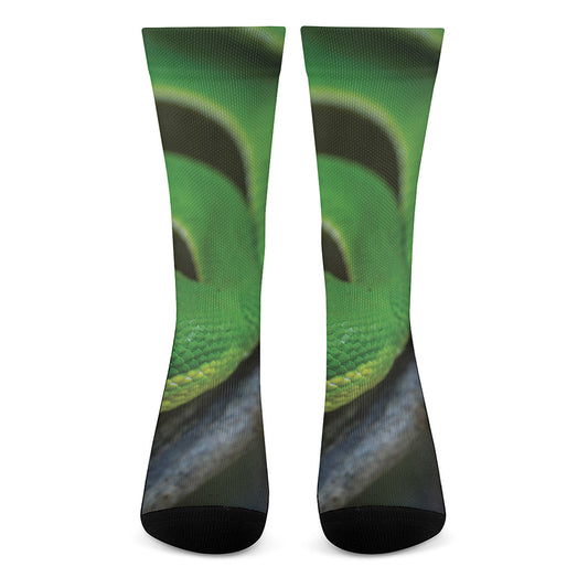 Trimeresurus Albolabris Snake Print Crew Socks