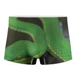 Trimeresurus Albolabris Snake Print Men's Boxer Briefs