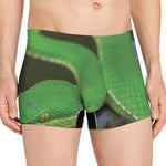 Trimeresurus Albolabris Snake Print Men's Boxer Briefs