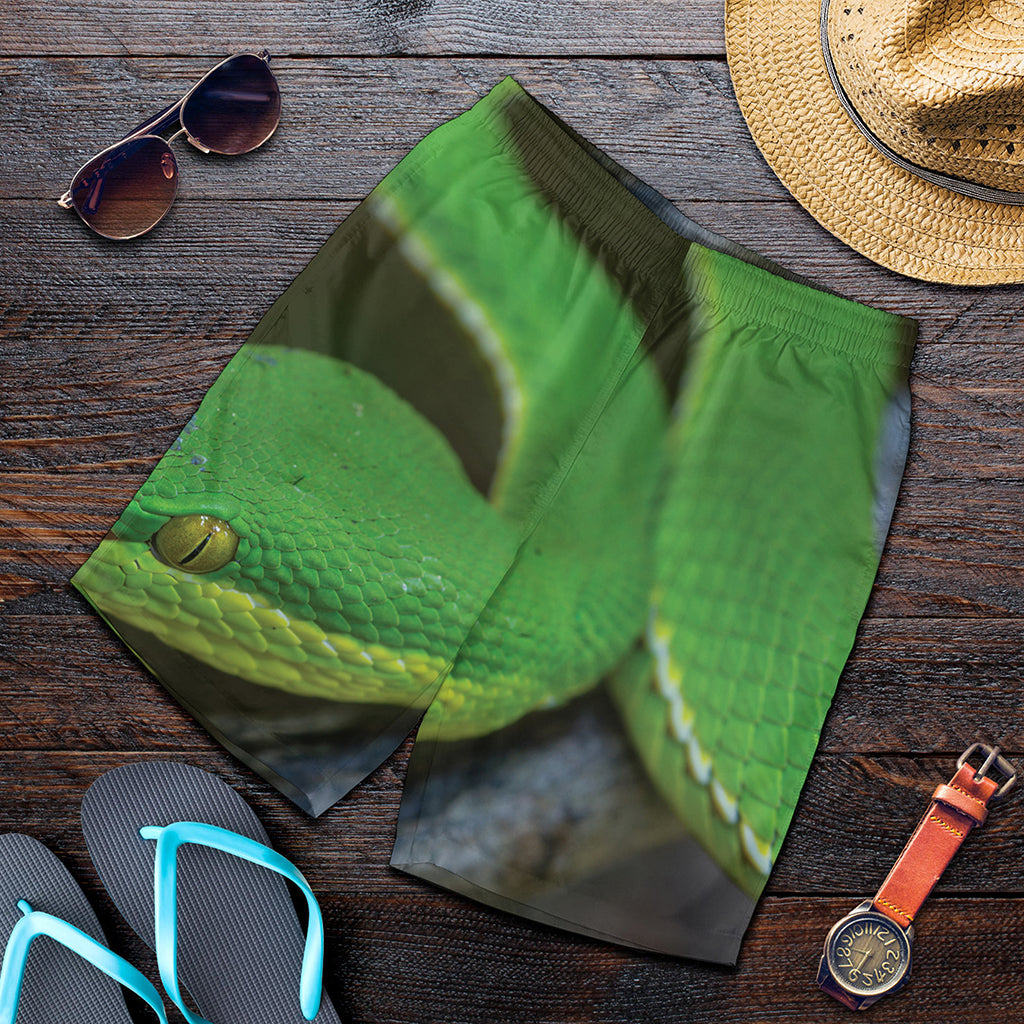 Trimeresurus Albolabris Snake Print Men's Shorts