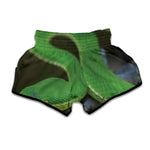 Trimeresurus Albolabris Snake Print Muay Thai Boxing Shorts