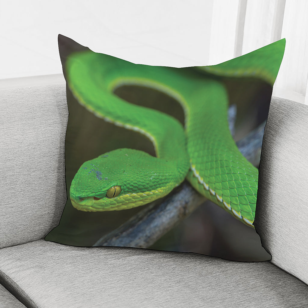 Trimeresurus Albolabris Snake Print Pillow Cover