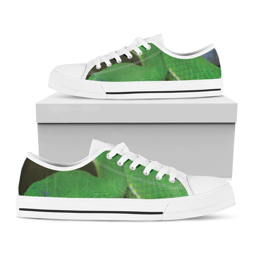 Trimeresurus Albolabris Snake Print White Low Top Shoes