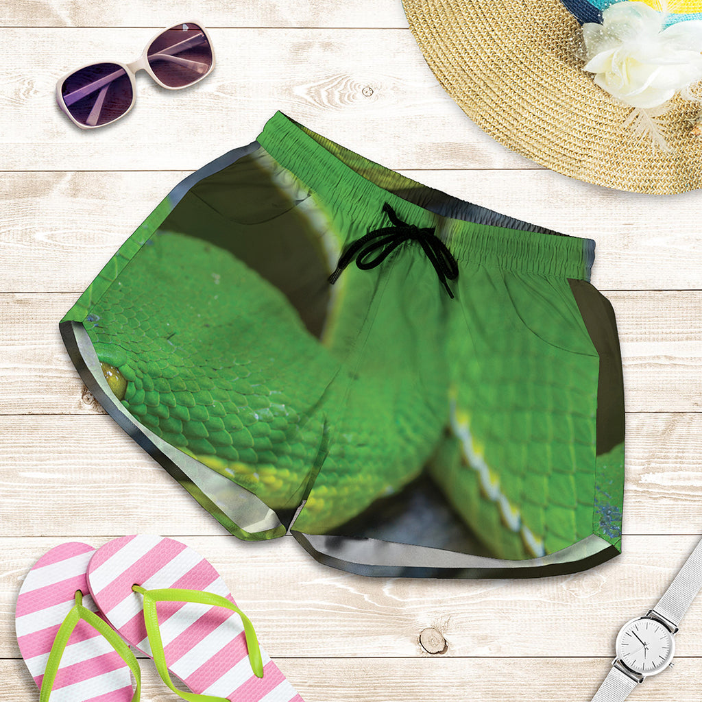 Trimeresurus Albolabris Snake Print Women's Shorts