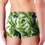 Tropical Banana Leaves Pattern Print Men's Boxer Briefs