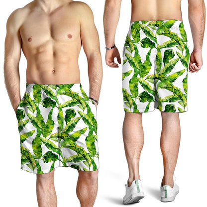 Tropical Banana Leaves Pattern Print Men's Shorts