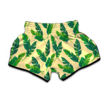 Tropical Banana Palm Leaf Pattern Print Muay Thai Boxing Shorts