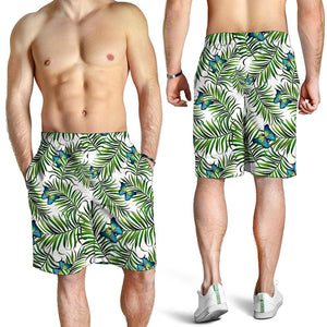 Tropical Butterfly Pattern Print Men's Shorts