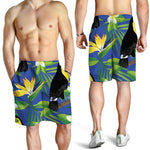 Tropical Keel-Billed Toucan Print Men's Shorts