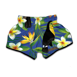 Tropical Keel-Billed Toucan Print Muay Thai Boxing Shorts