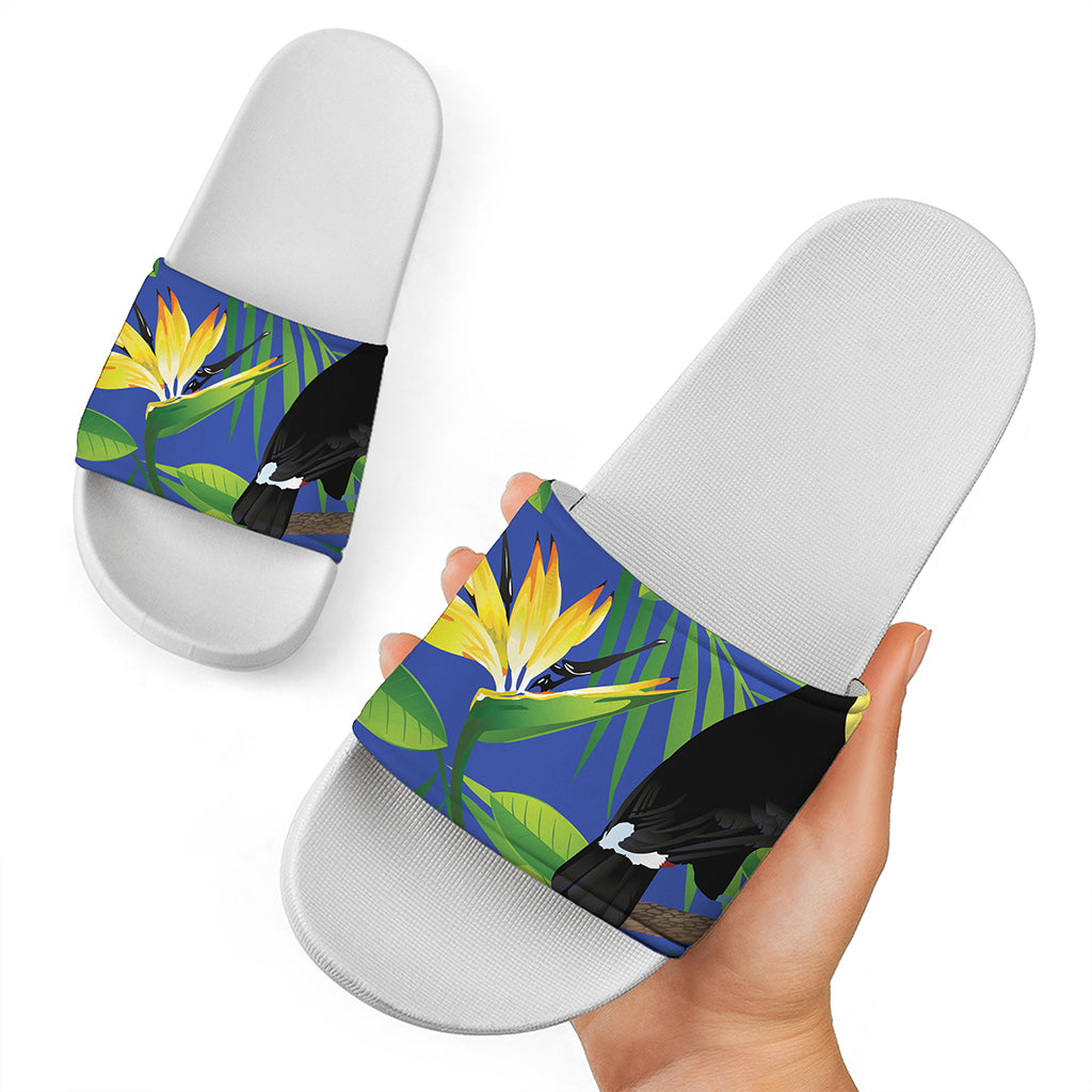 Tropical Keel-Billed Toucan Print White Slide Sandals