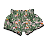 Tropical Palm Leaf And Toucan Print Muay Thai Boxing Shorts