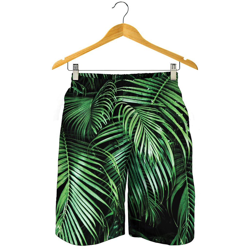 Tropical Palm Leaf Print Men's Shorts