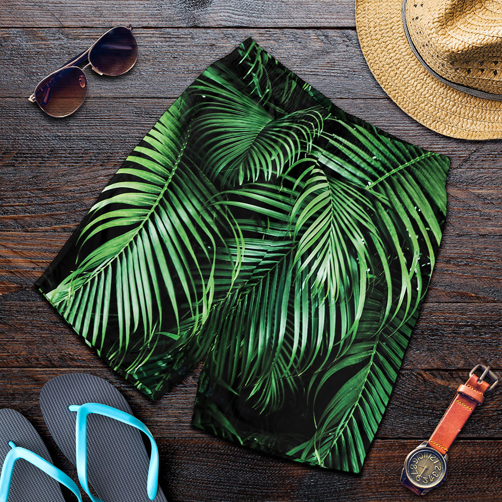 Tropical Palm Leaf Print Men's Shorts