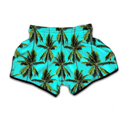 Tropical Palm Tree Pattern Print Muay Thai Boxing Shorts