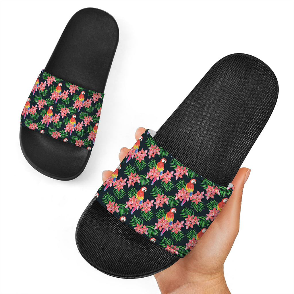 Tropical Parrot Pattern Print Black Slide Sandals