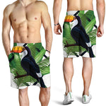 Tropical Toco  Toucan Print Men's Shorts