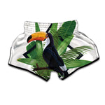 Tropical Toco  Toucan Print Muay Thai Boxing Shorts