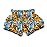 Turquoise And Orange Butterfly Print Muay Thai Boxing Shorts