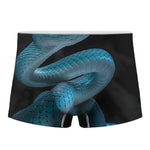 Turquoise Snake Print Men's Boxer Briefs