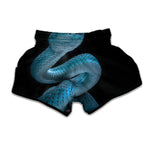 Turquoise Snake Print Muay Thai Boxing Shorts