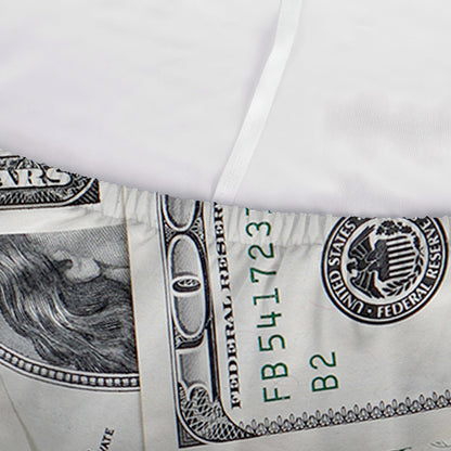 US Dollar Pattern Print Sofa Cover
