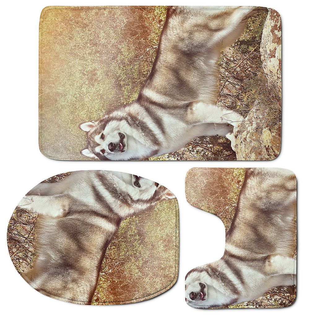 Vintage Alaskan Malamute Print 3 Piece Bath Mat Set
